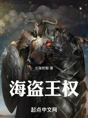 海盗王权TXT全集