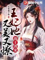 王妃替您出征了
