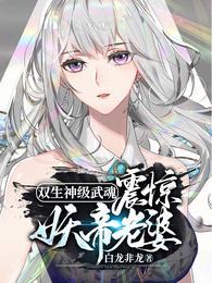 震惊妖帝老婆!3Q