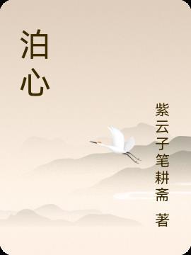 泊心处