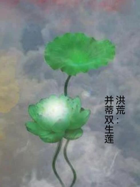 洪荒并蒂双生莲txt
