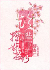 陛下撩妻日常全文免费