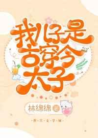我儿子是古穿今太子讲什么