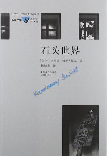 石头世界作文300字作文