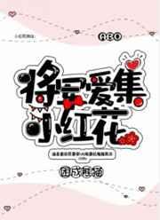 将军爱集小红花全文阅读