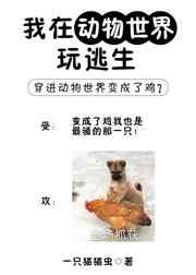 我在动物世界练武