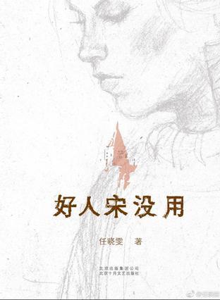 好人宋没用电子书