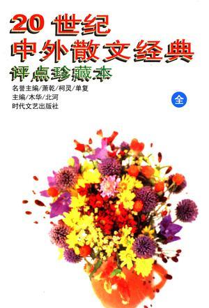 20世纪外国文学作品短篇