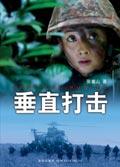 垂直打击是什么意思