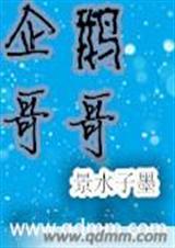 企鹅哥哥企鹅妹妹玩偶