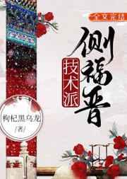 技术派侧福晋清穿全文