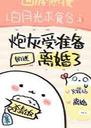 炮灰受准备离婚了晋江