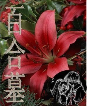 侨五区百合墓