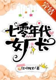 七零年代女厂长书评