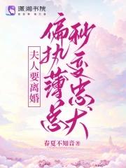 夫人总是要离婚全文免费
