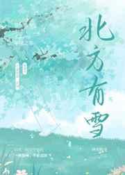 北方有雪免费阅读笔趣阁