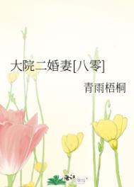 大院二婚妻八零笔趣阁