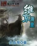 什么是维京海盗