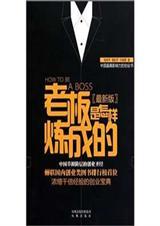老板是怎样炼成的 综艺节目胡剑