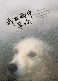 我在雨中等你国语配音