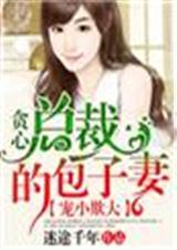 宠小欺大贪心总裁的包子妻 迷途千年