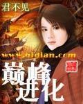 巅峰境界是什么意思