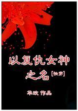 复仇女神全文阅读