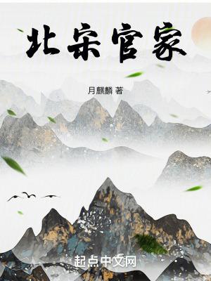 北宋官家笔趣阁无错版