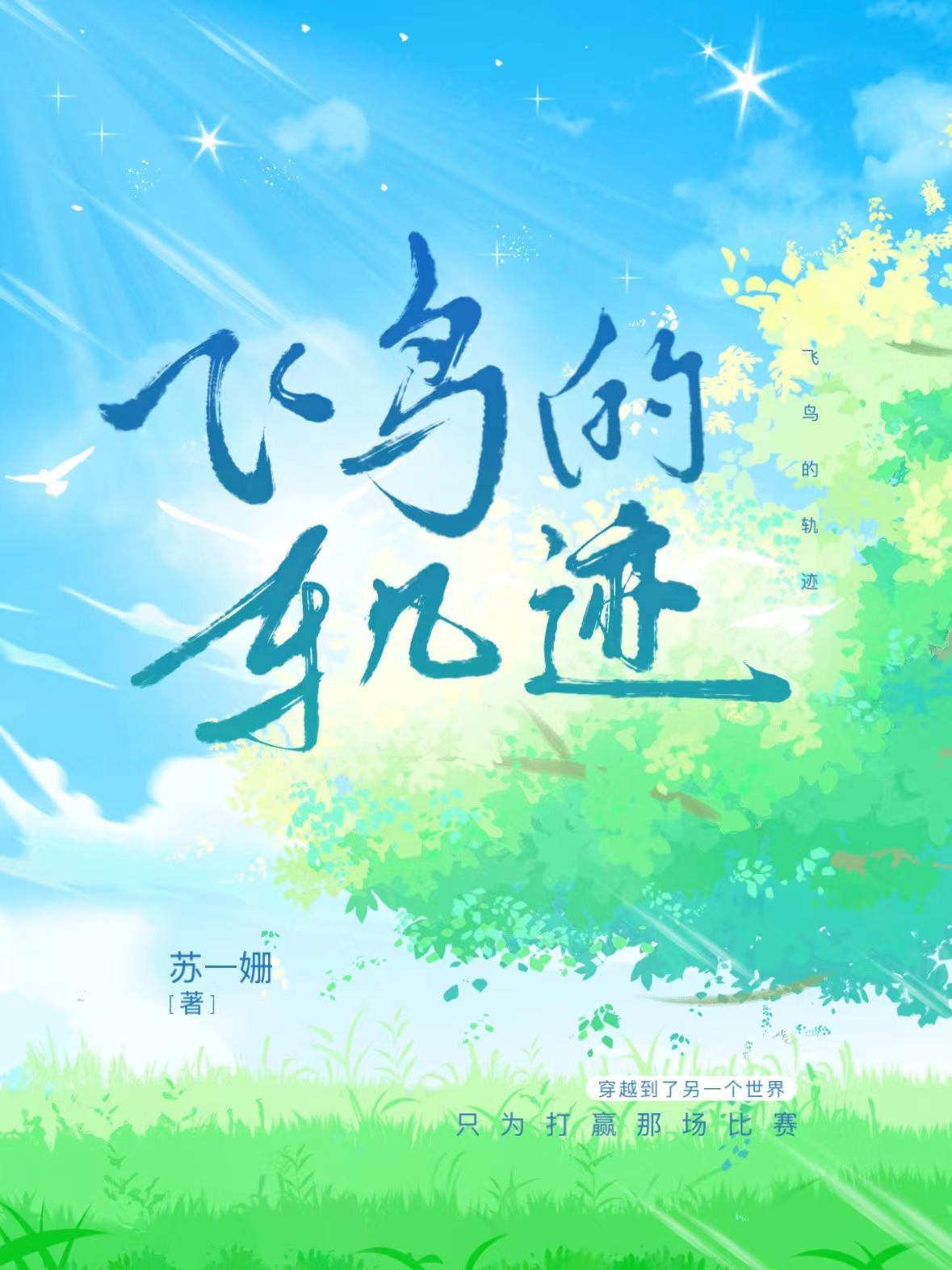 飞鸟轨迹顾时安