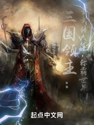 三国领主全息