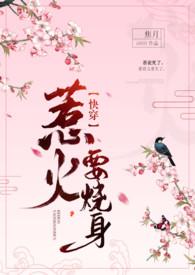 惹火烧身全文阅读