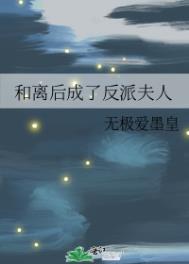 和离后成了反派夫人免费阅读