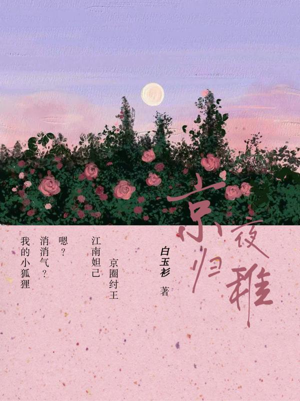 京夜归稚好看吗