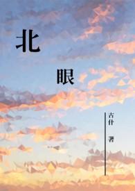 北眼少妇与网友3p
