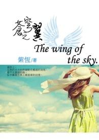苍穹之翼选金色还是黑色