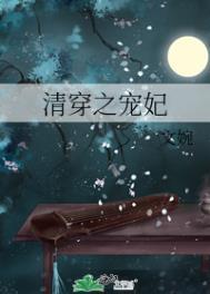 清穿之宠妃倾城史