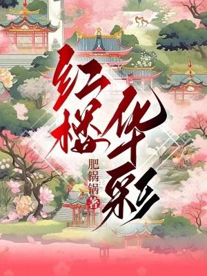 红楼华彩_