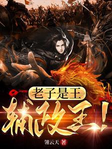 辅政王!