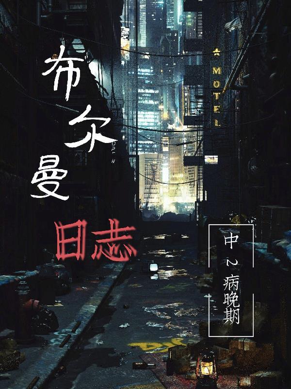 布尔曼日志TXT