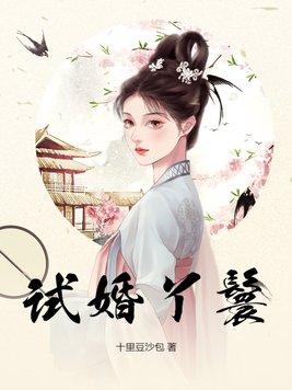 试婚丫鬟好看吗