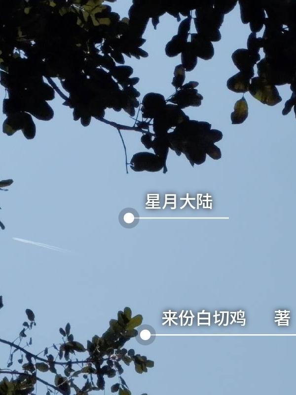 星月大陆什么意思
