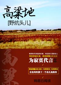 高粱地里面的故事