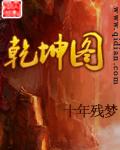乾坤图案