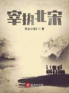 宋代宰执官