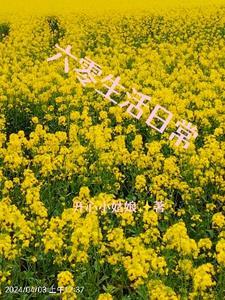 六零年代边苟住边发家边吃瓜TAT趣书网