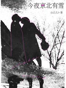 今夜京北有雪卢绾