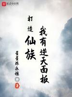 打造仙族我有逆天面板txt