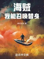 海贼我能召唤替身TXT