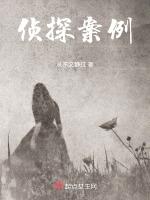 侦探案例by冷门作者怎么写