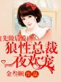 先做后爱狼性总裁夜欢宠被擒1